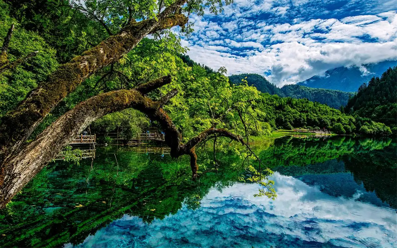 四川九寨沟夏日唯美自然风景壁纸图片大全下载高清大图预览2560x1600
